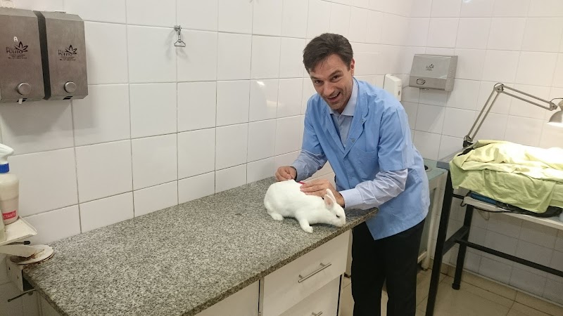 Dr. Alejandro Tafra examinando un conejo blanco en consultorio
