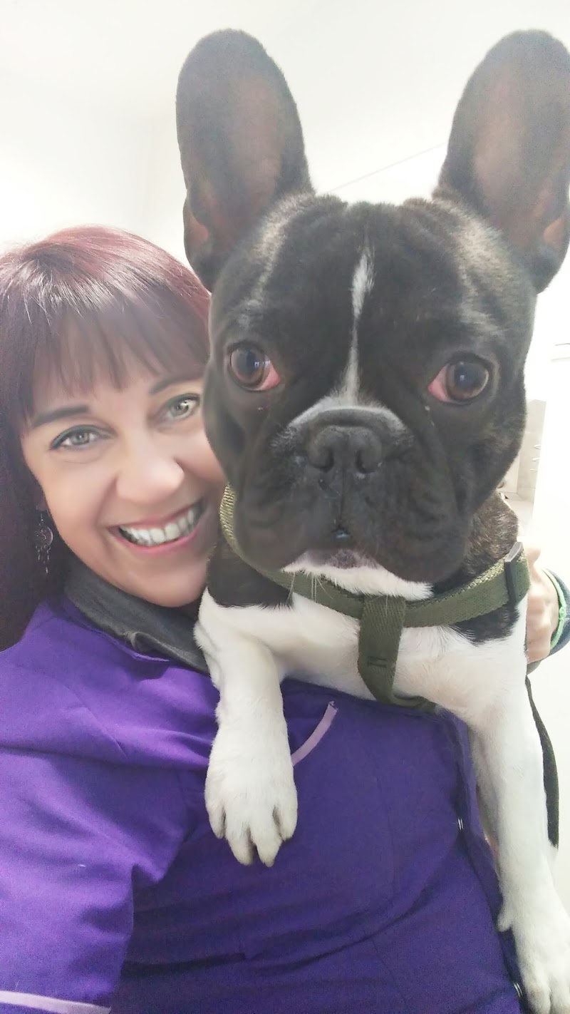 Dra. Laura sosteniendo un bulldog francés en consultorio